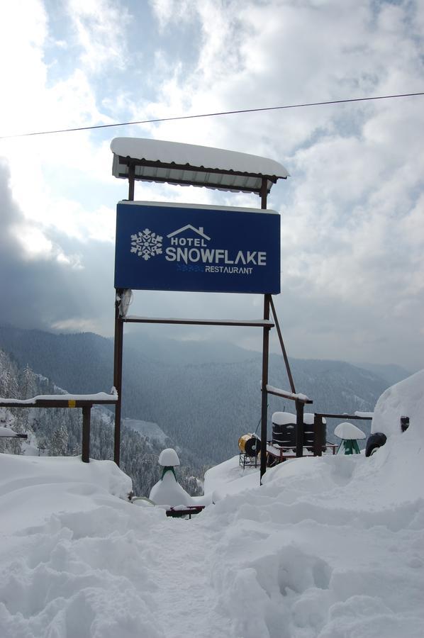 Hotel Snowflake ناركاندا المظهر الخارجي الصورة